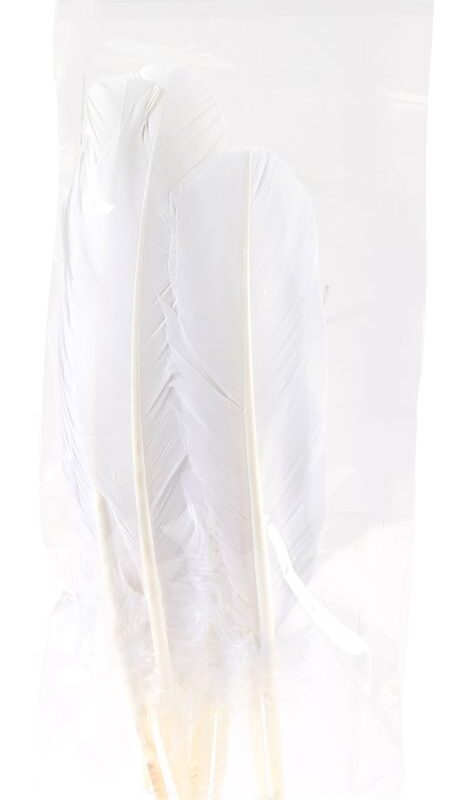 Indian feathers P/10 white