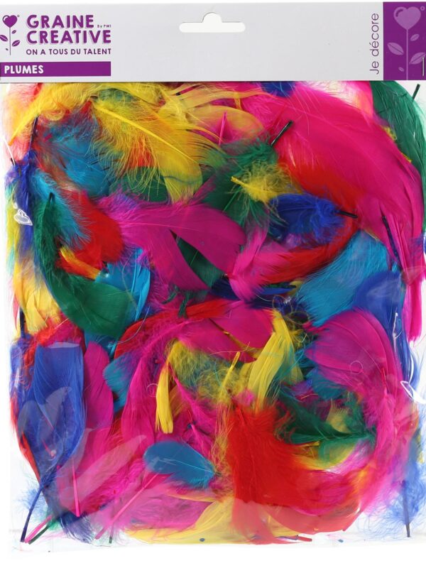 Goose feathers 180 mm 12 g – assorted colours