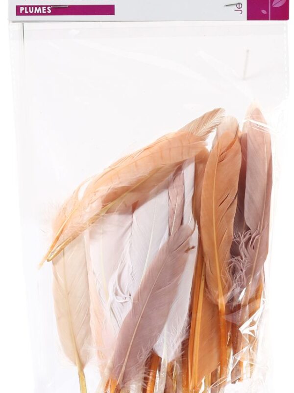 Bag of 10 g Indian feathers beige shades height 150