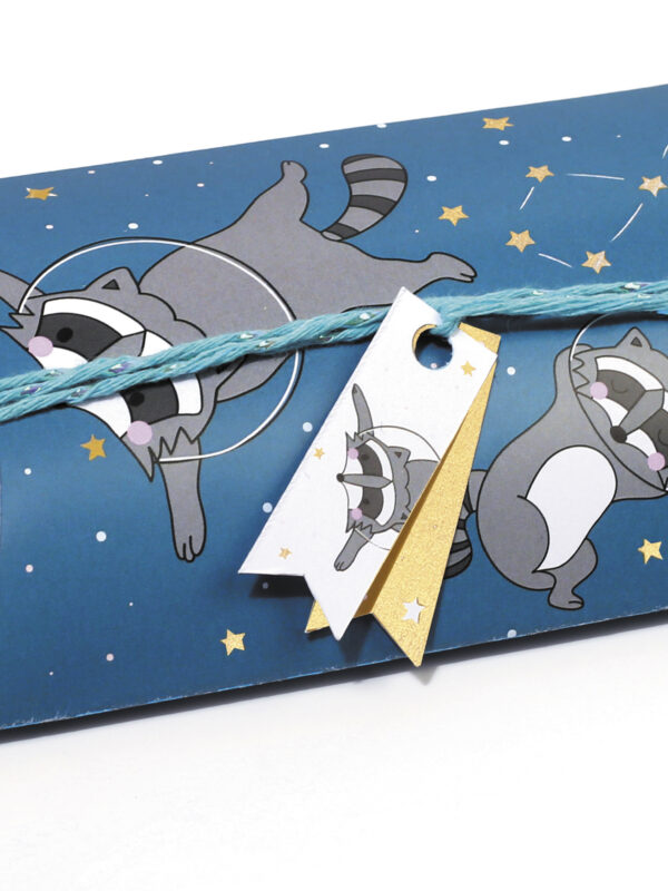 Gift boxes - Raccoon (6 pcs)