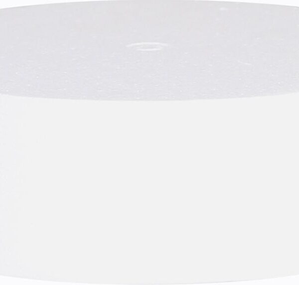 Styrofoam disc diameter 150 mm x height 50 mm