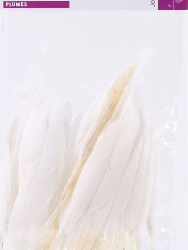 Bag of 10 g white Indian feathers height 150