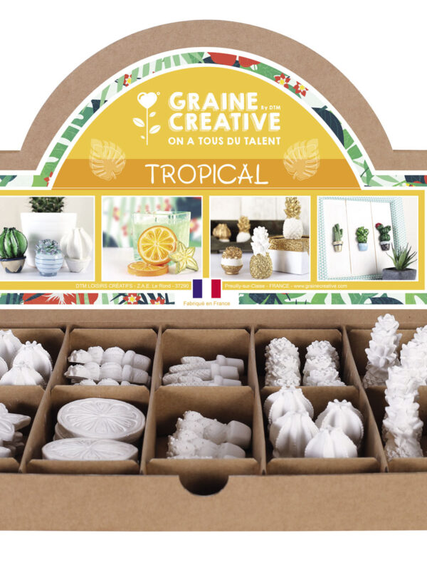 Display plaster molds – Tropical (64 pcs)