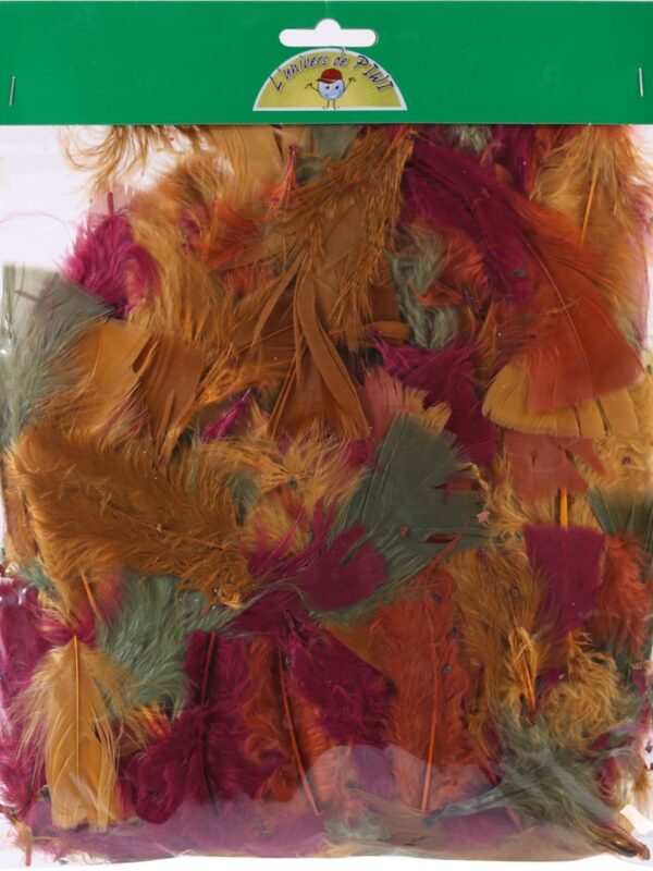 Feathers 25 g 150 mm 4 x autumn colours mix