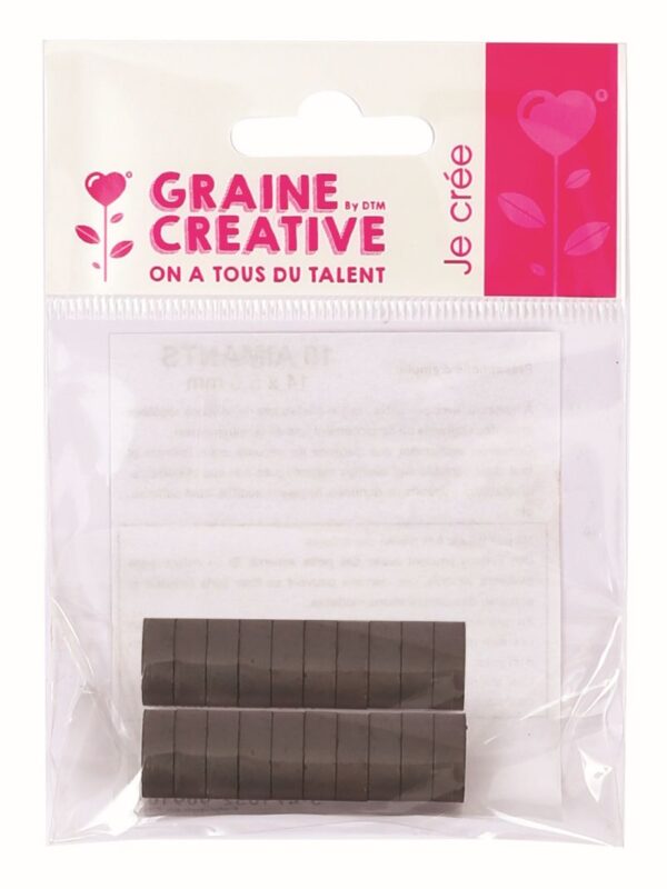Sachet of 20 magnets 14x5.5mm
