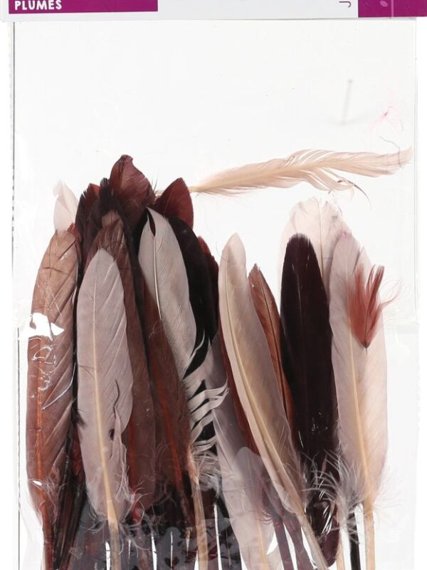 Bag of 10 g Indian feathers chocolate shades height 150