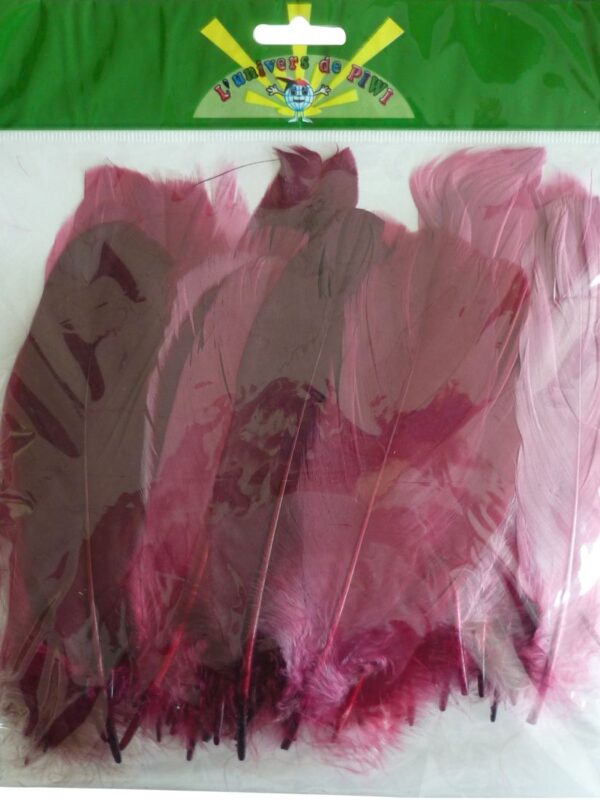 Goose feathers 15 g 150 mm shades of pink
