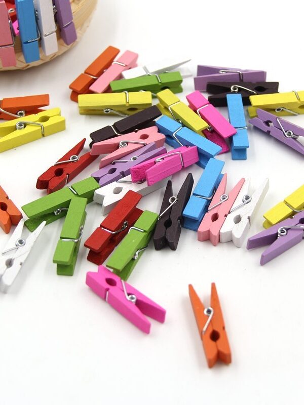 Micro wooden pegs 2.5 cm 50 pcs colour