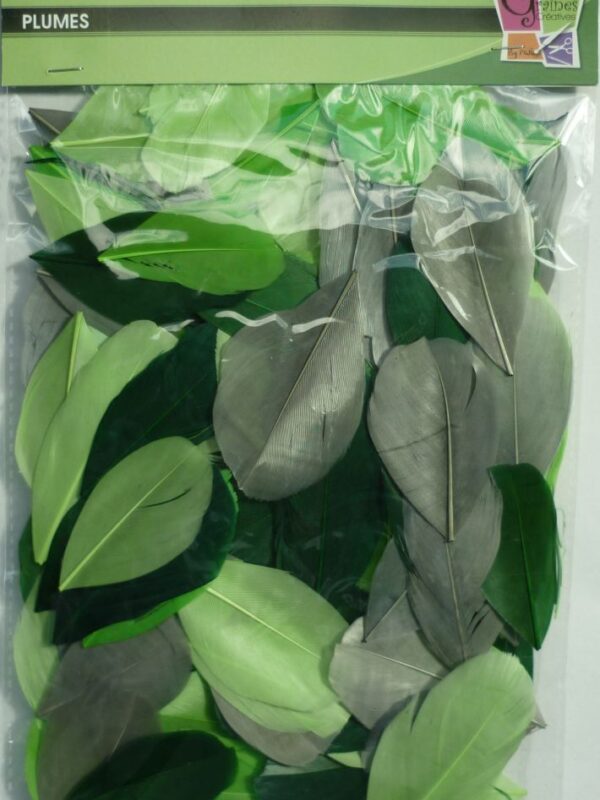 Bag of 10 g cut feathers green shades 60