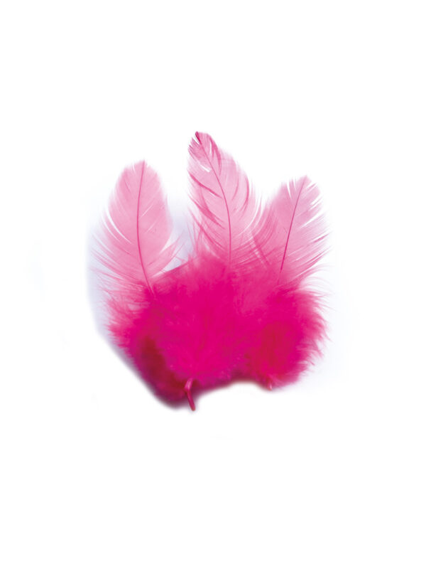 Bag of 3 g rooster feathers bright pink height 100