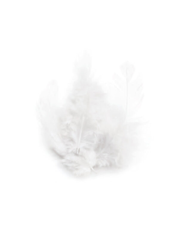 Bag of 3 g rooster feathers white 100 mm