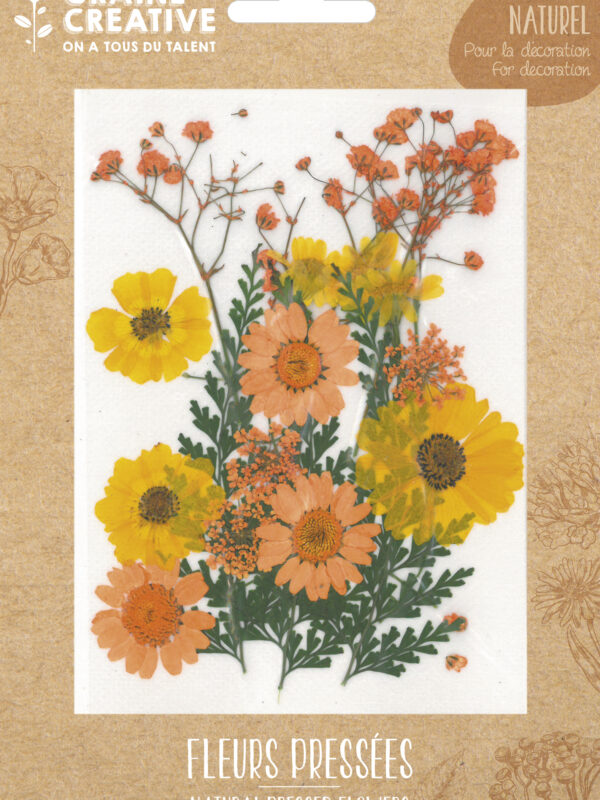 Dried flowers – Yellow meadow (18 pcs)