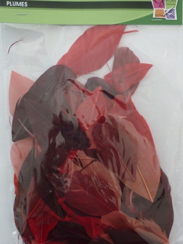 Bag of 10 g cut feathers red shades 60