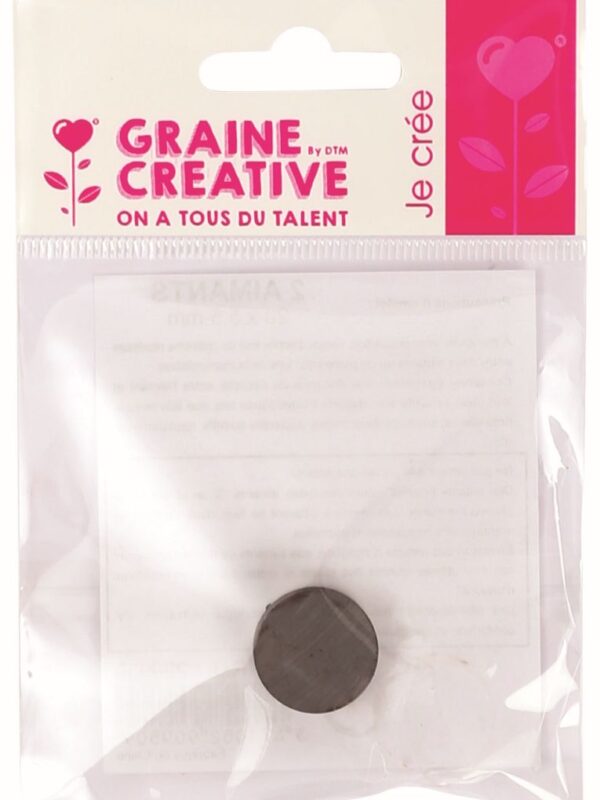 Sachet of 2 magnets 20x5.5mm