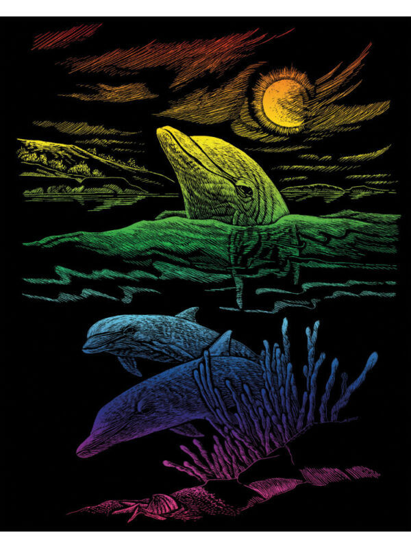Kraskaart regenboog 203x254mm Dolfijnenrif
