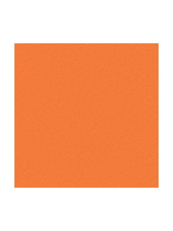 10 rect.feutrine 30x20cm.orange (see DH521000-240)