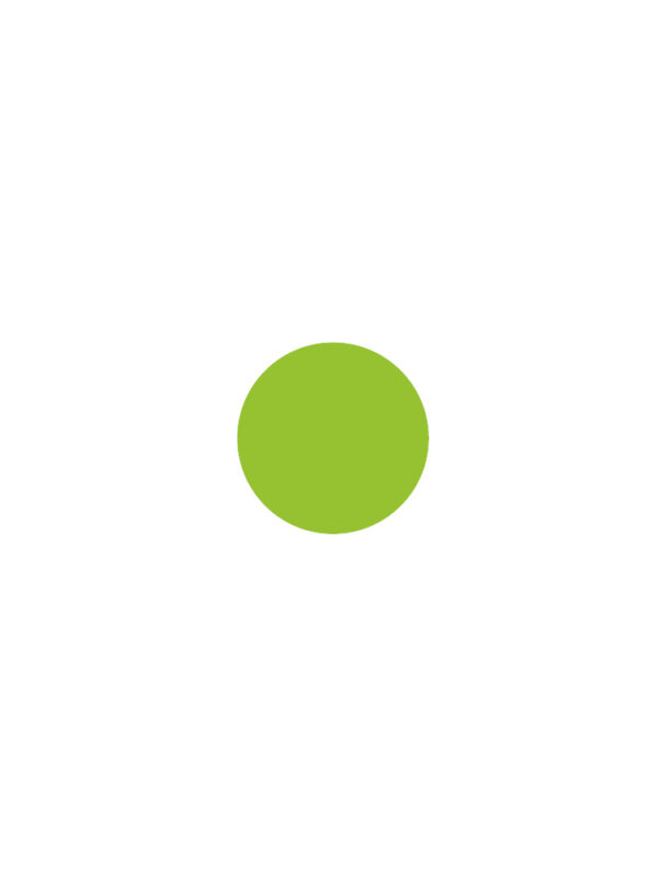 Ink pad classic emerald