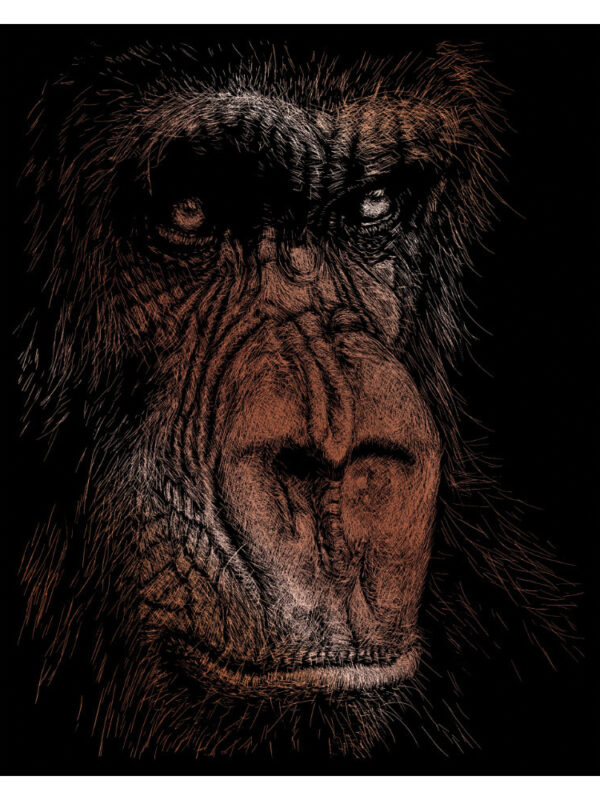 Scratch card copper 203mm x 254mm - The wise monkey