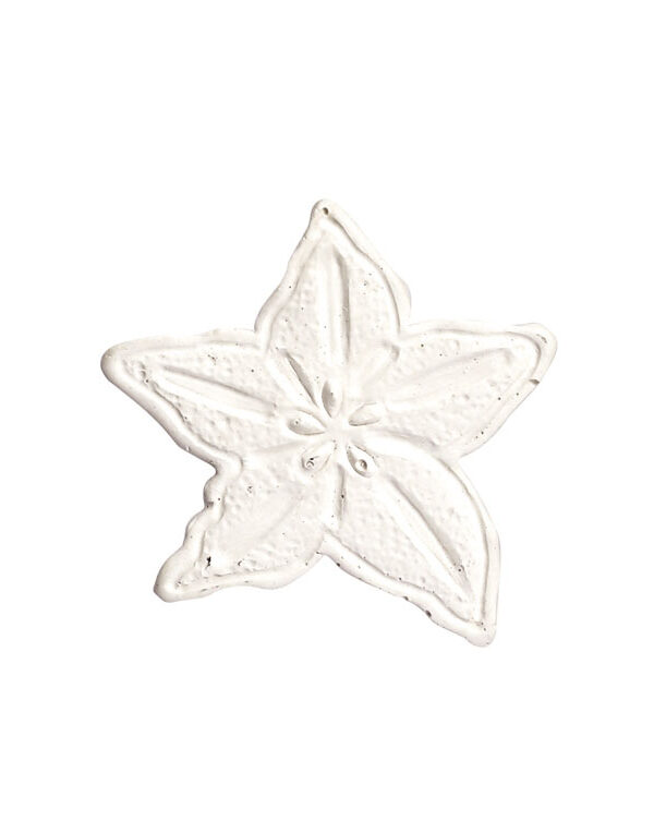Plaster mold – Carambola 53 mm x 46 mm x 7 mm (1 pc)