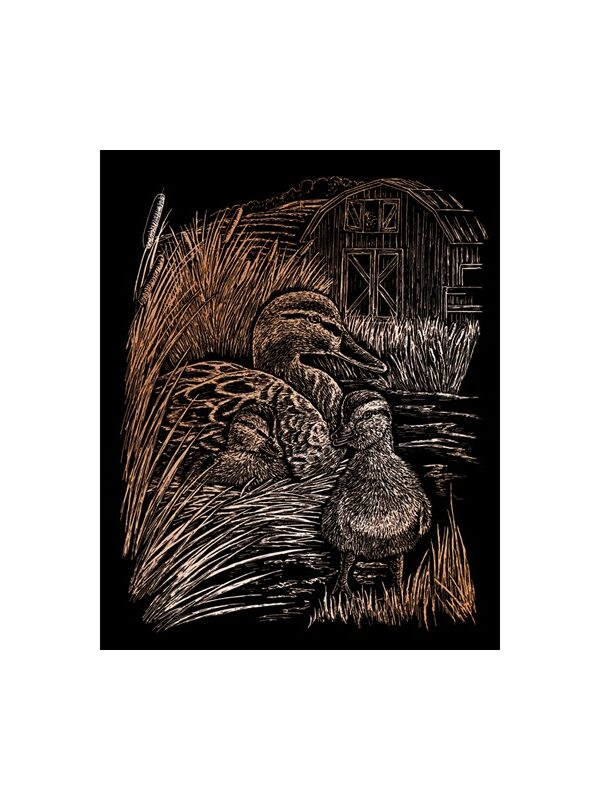 Carte à gratter 20,3x25,4cm cuivré Canards
