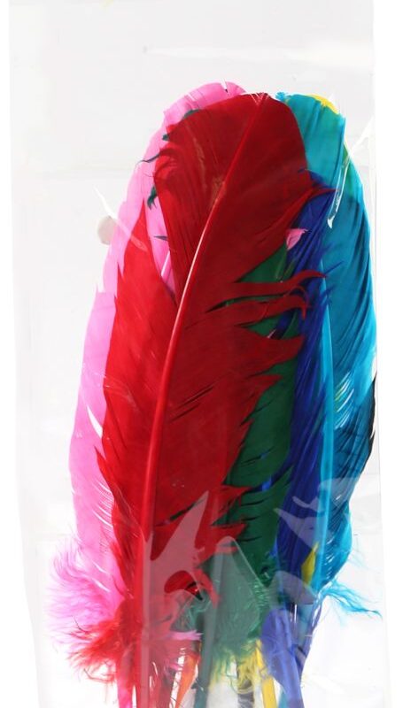 Bag of 10 Indian feathers assorted colours