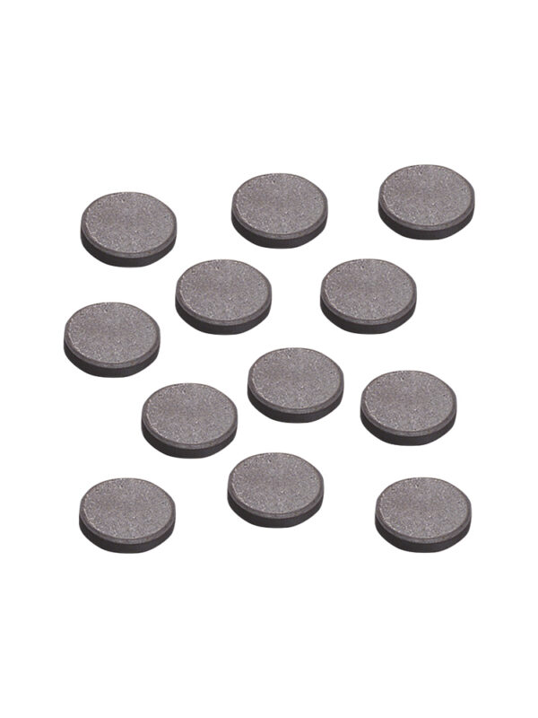 Disc magnets 19 mm (12 pcs)